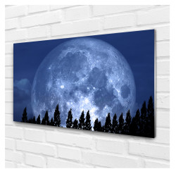 Tablou sticla Full Moon