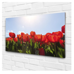Tablou decorativ living-room, flori colorate, Lalele rosii pe cerul albastru Tablou decorativ living-room, flori colorate, Lalele rosii pe cerul albastru