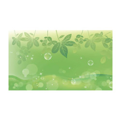 Panou bucatarie, protectie plita, aragaz, antistropire, print UV model Tapet Verde