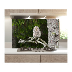 Panou bucatarie, protectie plita, aragaz, antistropire, print UV model Bufnita Alba Panou bucatarie, protectie plita, aragaz, antistropire, print UV model Bufnita Alba
