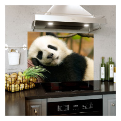 Panou bucatarie, protectie plita, aragaz, antistropire, print UV model Urs Panda