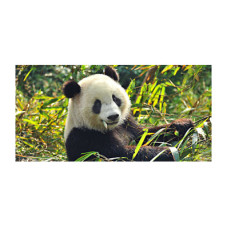 Panou protectie plita, aragaz, print UV, Ursulet Panda