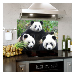 Panou decorativ bucatarie,sticla securizata, protectie plita, print UV 3 Ursi Panda