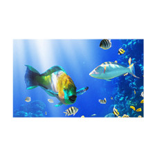 Panou decorativ bucatarie, sticla securizata, protectie plita, print UV, Pesti de Ocean