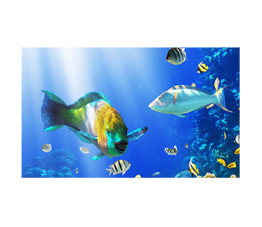 Panou decorativ bucatarie, sticla securizata, protectie plita, print UV, Pesti de Ocean