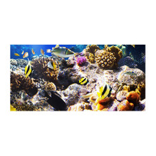 Panou bucatarie, protectie plita, aragaz, antistropire, print UV model Ocean cu Pesti