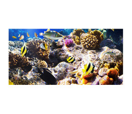 Panou bucatarie, protectie plita, aragaz, antistropire, print UV model Ocean cu Pesti