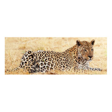 Panou bucatarie, protectie plita, aragaz, antistropire, print UV model Animal Pradator