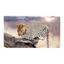 Panou bucatarie, protectie plita, aragaz, antistropire, print UV model Tigru 2