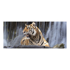 Panou bucatarie, protectie plita, aragaz, antistropire, print UV model Tigru 3