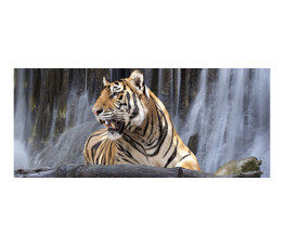 Panou bucatarie, protectie plita, aragaz, antistropire, print UV model Tigru 3