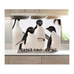 Panou bucatarie, protectie plita, aragaz, antistropire, print UV model 4 Pinguini Panou bucatarie, protectie plita, aragaz, antistropire, print UV model 4 Pinguini
