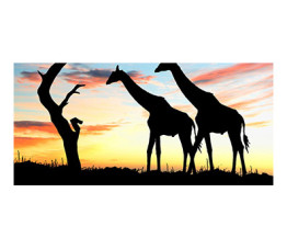 Panou bucatarie, protectie plita, aragaz, antistropire, print UV model Girafe