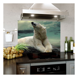Panou bucatarie, protectie plita, aragaz, antistropire, print UV model Urs Polar