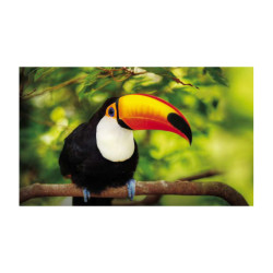 Panou bucatarie, protectie plita, aragaz, antistropire, print UV model Tucan