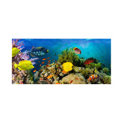 Panou bucatarie, protectie plita, aragaz, antistropire, print UV model Pestisori Colorati