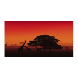 Panou bucatarie, protectie plita, aragaz, antistropire, print UV model Animale in Natura