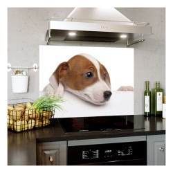 Panou bucatarie, protectie plita, aragaz, antistropire, print UV model Doi Jack Russell Terrieri Panou bucatarie, protectie plita, aragaz, antistropire, print UV model Doi Jack Russell Terrieri
