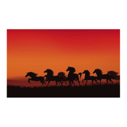 Panou bucatarie, protectie plita, aragaz, antistropire, print UV model Horses
