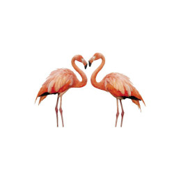 Panou bucatarie, protectie plita, aragaz, antistropire, print UV model Flamingo Pasari de Dragoste