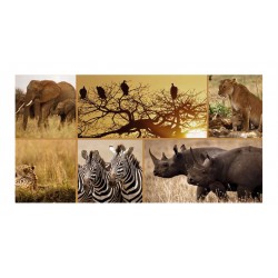 Panou bucatarie, protectie plita, aragaz, antistropire, print UV model Cadre Animale Salbatice