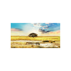 Panou decorativ bucatarie, sticla securizata, protectie plita, print UV, Peisaj cu Zebre