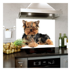 Panou bucatarie, protectie plita, aragaz, antistropire, print UV model Catel Terrier