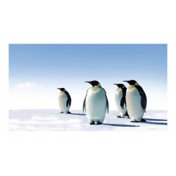 Panou bucatarie, protectie plita, aragaz, antistropire, print UV model Peisaj Pinguini