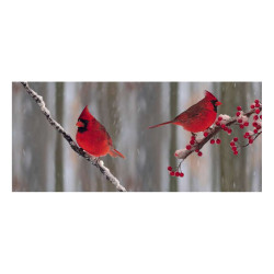 Panou bucatarie, protectie plita, aragaz, antistropire, print UV model Cardinal Rosu