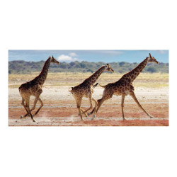Panou bucatarie, protectie plita, aragaz, antistropire, print UV model Trei Girafe in Alergare