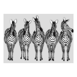 Panou bucatarie, protectie plita, aragaz, antistropire, print UV model 5 Zebre