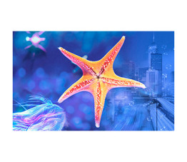 Panou bucatarie, protectie plita, aragaz, antistropire, print UV model Stea de Mare