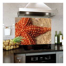Panou bucatarie, protectie plita, aragaz, antistropire, print UV model Stea de Mare Rosie
