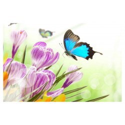 Panou bucatarie, protectie plita, aragaz, antistropire, print UV model Fluture Albastru