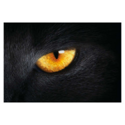 Panou bucatarie, protectie plita, aragaz, antistropire, print UV model Ochi de Pisica