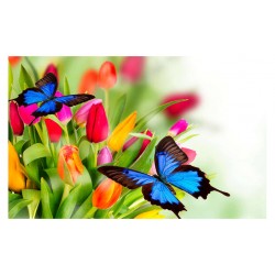 Panou bucatarie, protectie plita, aragaz, antistropire, print UV model Fluturi Albastri