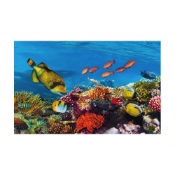 Panou bucatarie, protectie plita, aragaz, antistropire, print UV model Pesti Ocean