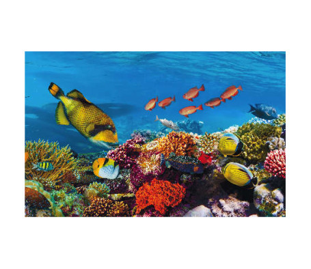 Panou bucatarie, protectie plita, aragaz, antistropire, print UV model Pesti Ocean