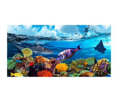 Panou bucatarie, protectie plita, aragaz, antistropire, print UV model Pesti in Ocean 2 