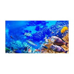 Panou bucatarie, protectie plita, aragaz, antistropire, print UV model Pesti in Ocean 3