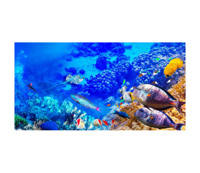 Panou bucatarie, protectie plita, aragaz, antistropire, print UV model Pesti in Ocean 3