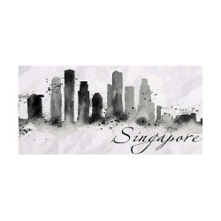 Panou bucatarie, protectie plita, aragaz, antistropire, print UV model Signapore