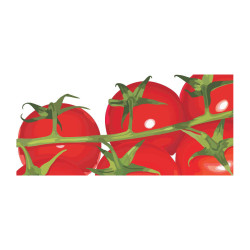 Panou bucatarie, protectie plita, aragaz, antistropire, print UV model Rosii