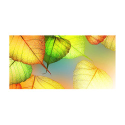 Panou bucatarie, protectie plita, aragaz, antistropire, print UV model Frunze Colore
