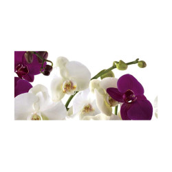Panou bucatarie, protectie plita, aragaz, antistropire, print UV model Orhidee