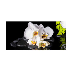 Panou bucatarie, protectie plita, aragaz, antistropire, print UV model Orhidee Alba 2