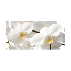 Panou bucatarie, protectie plita, aragaz, antistropire, print UV model Phalaenopsis Stuartiana
