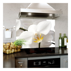 Panou bucatarie, protectie plita, aragaz, antistropire, print UV model Phalaenopsis Stuartiana