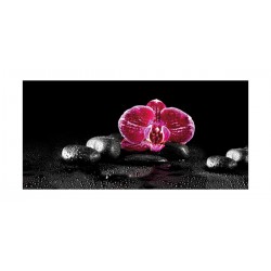 Panou bucatarie, protectie plita, aragaz, antistropire, Orhidee Abstract 1