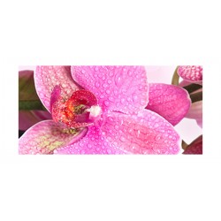 Panou bucatarie, protectie plita, aragaz, antistropire, print UV model Orhidee de Philippine